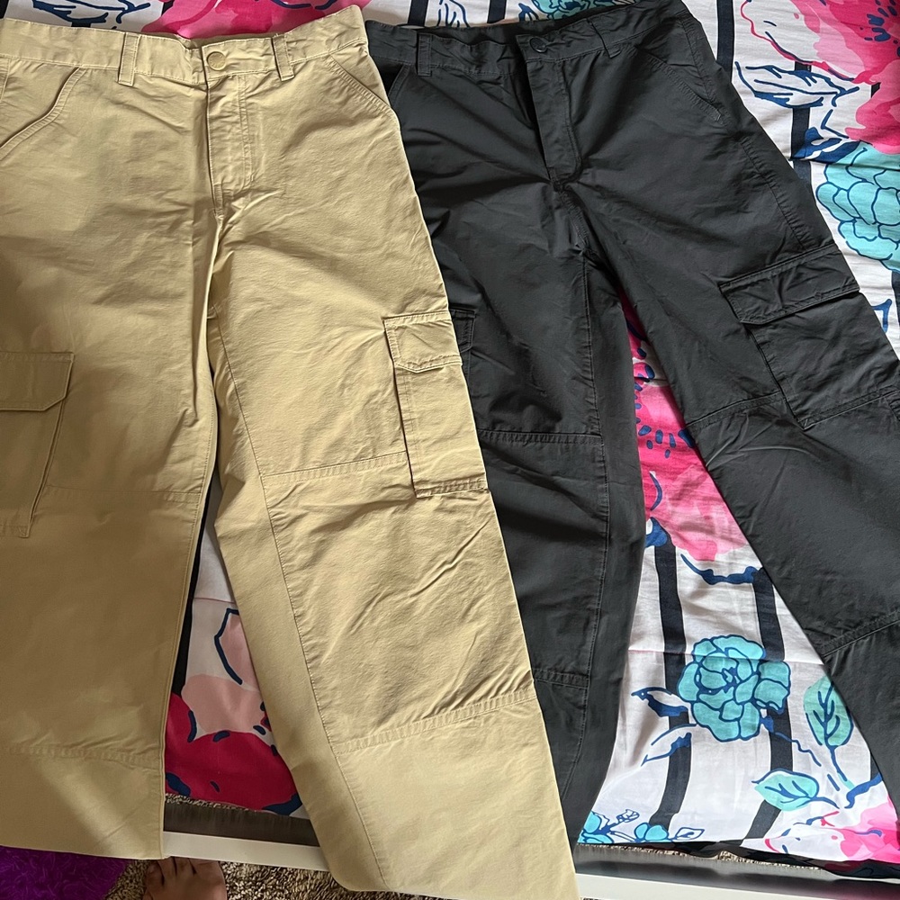 North Face hiking pants